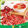 China goji Vorteile goji Beeren Samen Öl für die Gesundheit